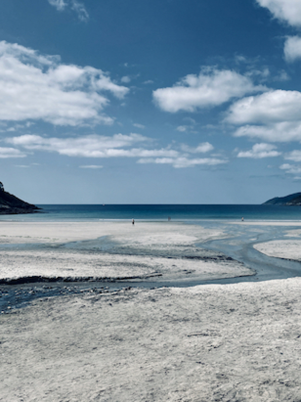 A river pouring into the sea