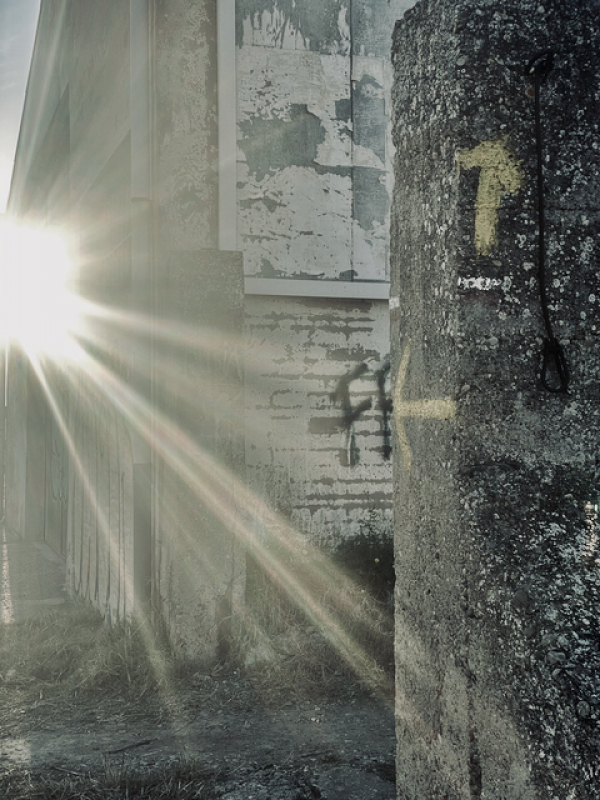 Sieben Tage nach Pamplona