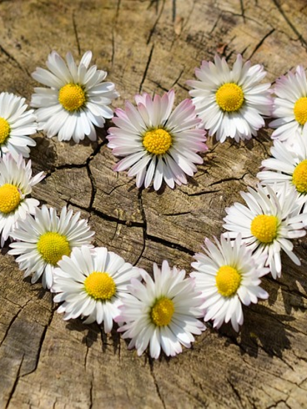 Das vergrabenes Herz