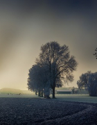 Nicht für diese Welt